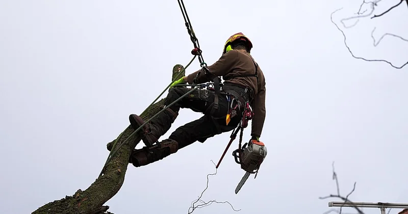 The technical skills everyone skips (and regrets skipping)