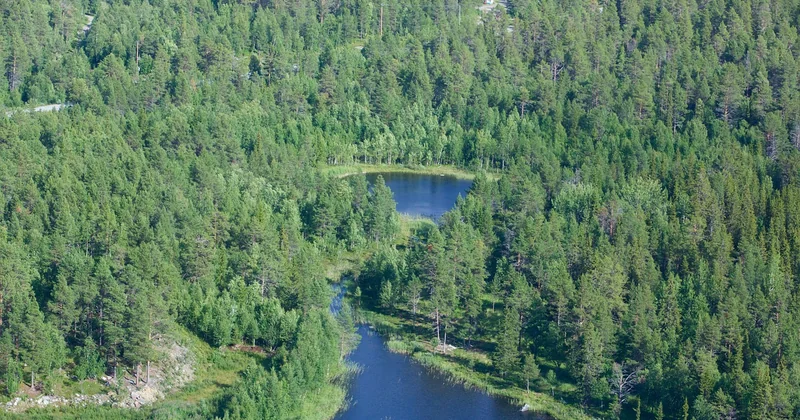 The best helicopter tours in the world—and the honest reason they win