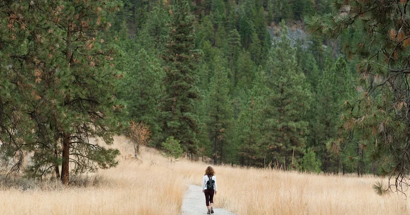 Why do ADHD people like hiking?