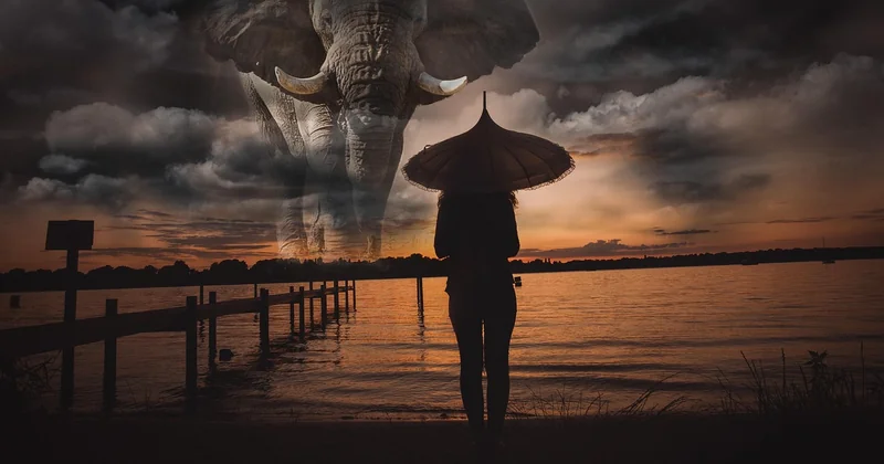 Ethical elephant sanctuary Bangkok and Koh Samui: what to expect