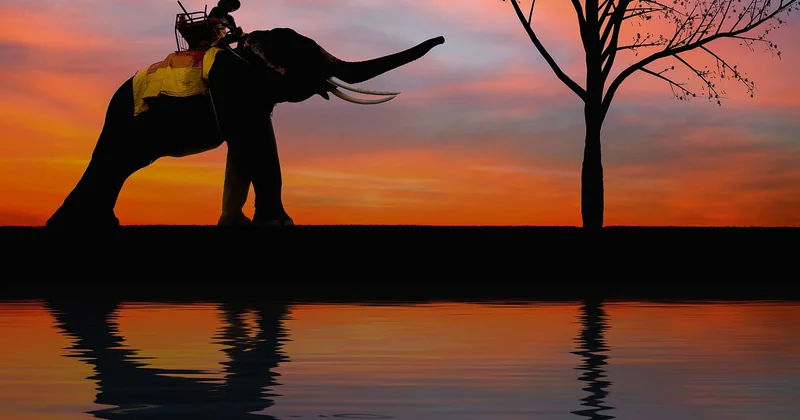 Slow travel benefits for the environment: where the real savings are
