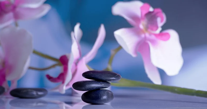 Best spa and wellness retreats in the US