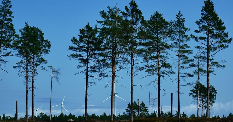 Eco Friendly Travel Tips for Reducing Your Carbon Footprint